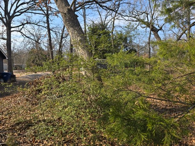 320 Double Bridge Road, Mabank, TX 75156