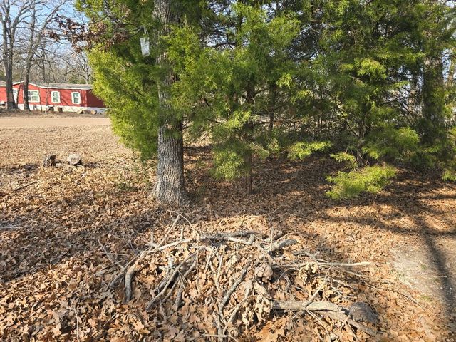 320 Double Bridge Road, Mabank, TX 75156