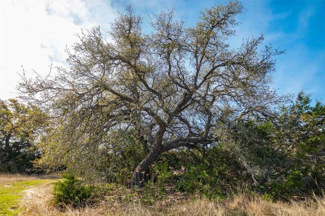 Lot 8 Saddle Ridge DR, Bertram, TX 78605