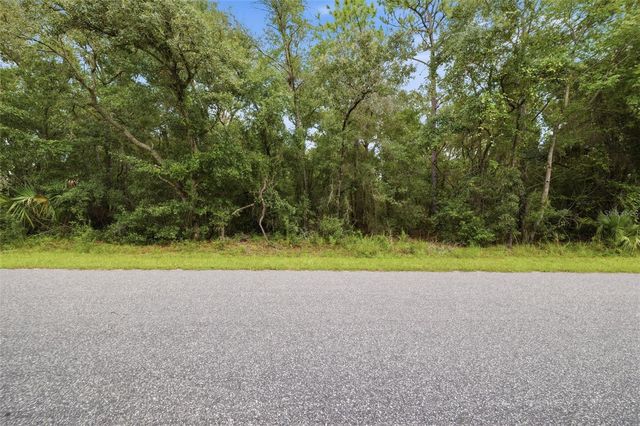 1295 E RAY STREET, Hernando, FL 34442