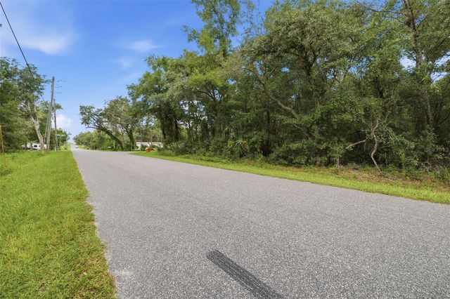 1295 E RAY STREET, Hernando, FL 34442