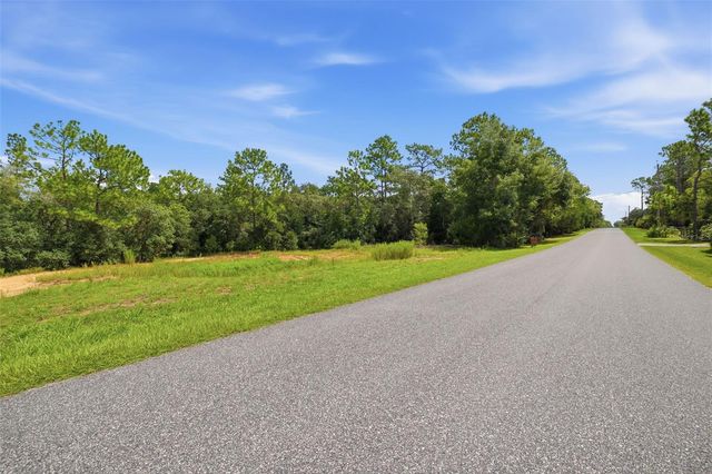 1295 E RAY STREET, Hernando, FL 34442