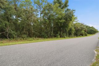 1295 E RAY STREET, Hernando, FL 34442