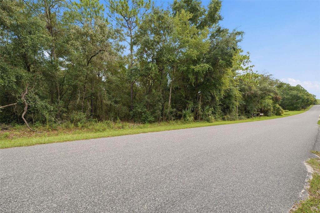 1295 E RAY STREET, Hernando, FL 34442
