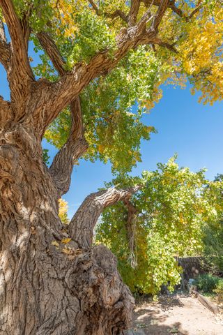 1409 Camino Ecuestre NW, Albuquerque, NM 87107