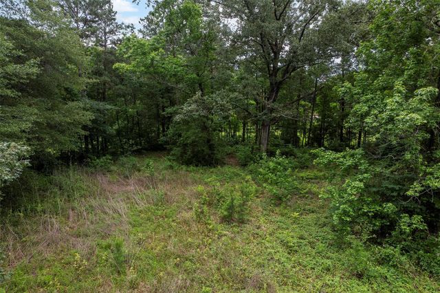 207 Blue Lake Drive, Huffman, TX 77336