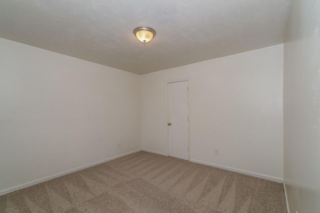 8735 Texas Acorn Avenue, Houston, TX 77078