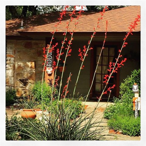 8004 Downing ST, Austin, TX 78759