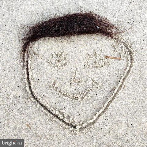 24171 ADELAIDE ST, Parksley, VA 23421