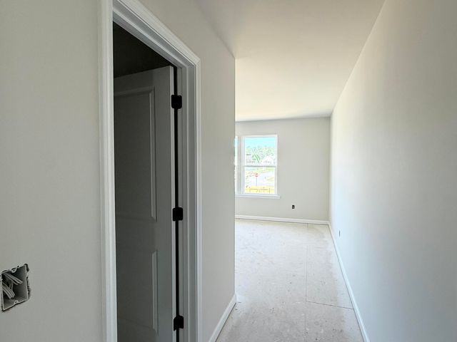 5361 Crinum Lilly, Summerville, SC 29485