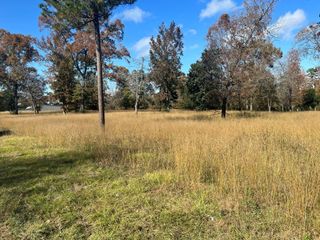 TBD S Houston Avenue, Livingston, TX 77351