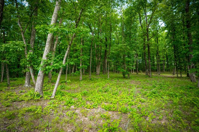 4562 Amethyst Road, Chattanooga, TN 37419