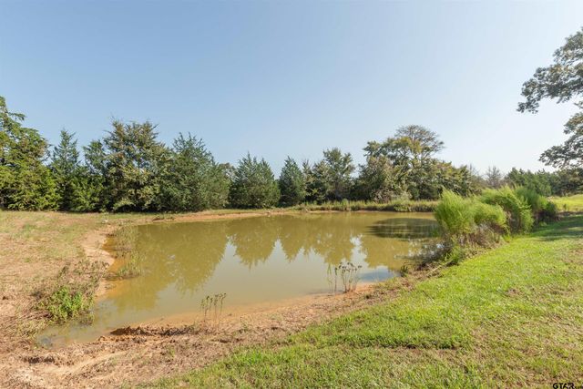 313 CR 4617, Troup, TX 75789