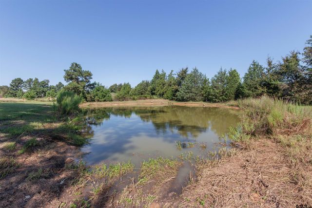 313 CR 4617, Troup, TX 75789