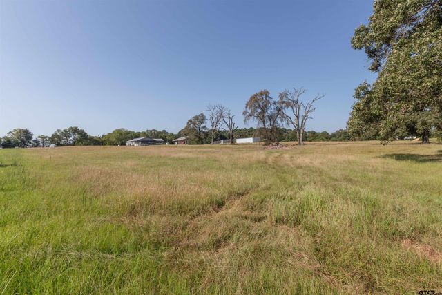 313 CR 4617, Troup, TX 75789