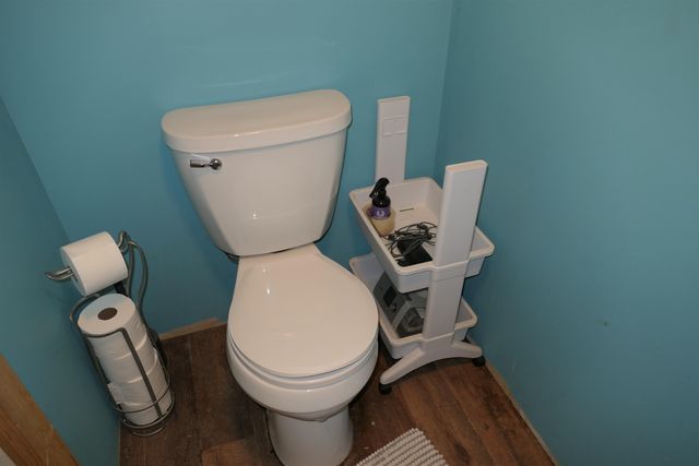 424 S Kinney Street, Pleasant, MI 48858