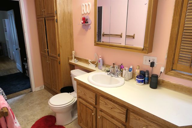 424 S Kinney Street, Pleasant, MI 48858