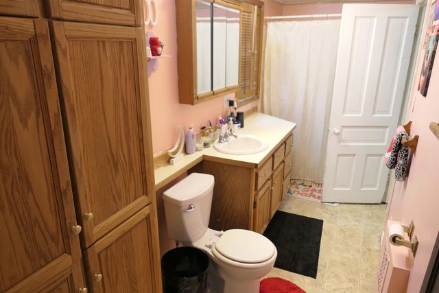 424 S Kinney Street, Pleasant, MI 48858