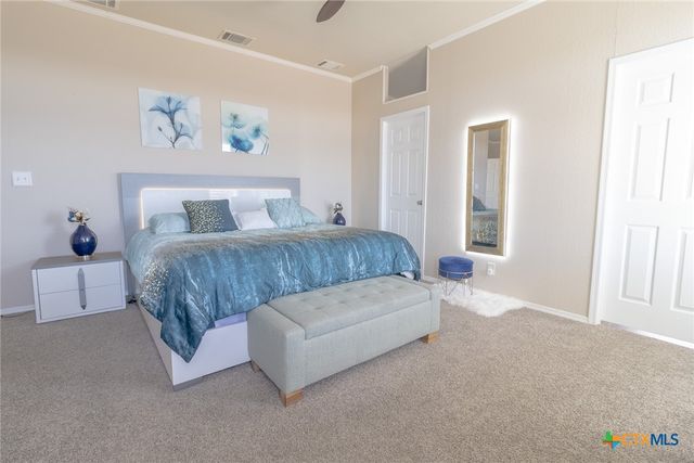 546 Texas Oak Dr, Cedar Creek, TX 78612