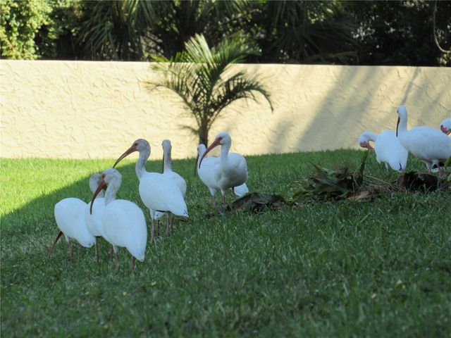 3001 58TH AVE S AVENUE S 805, St Petersburg, FL 33712