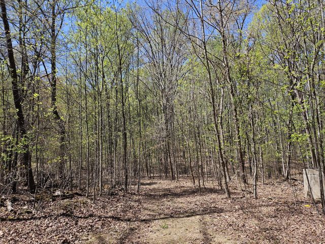 LOT9 GREYSTONE DR, Wirtz, VA 24184