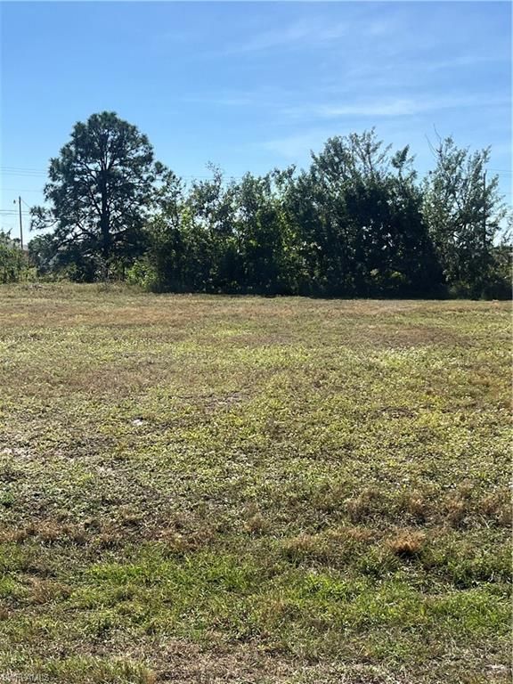222 NE 15th TER, CAPE CORAL, FL 33909 — exterior