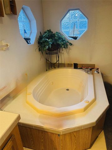 10603 SKEWLEE GARDENS DRIVE, Thonotosassa, FL 33592