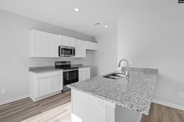 272 Brando Way, Columbia, SC 29223