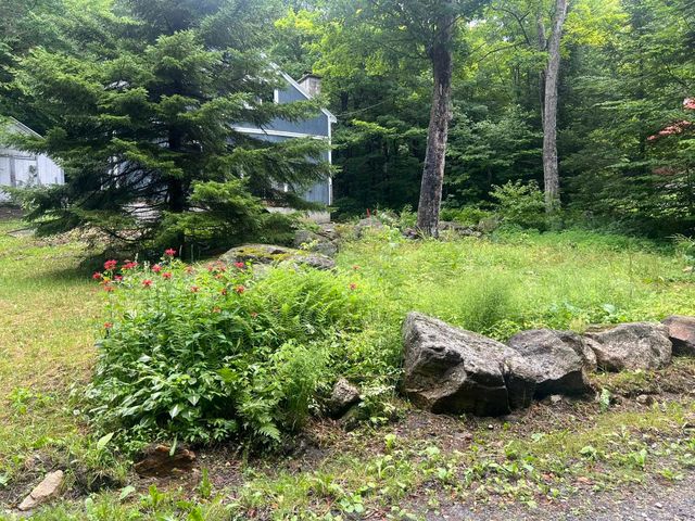 207 Sycamore Road, Woodford, VT 05201