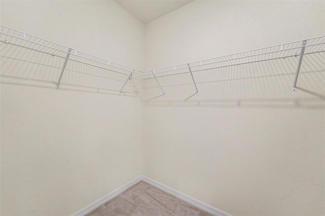 3221 LIVING CORAL DRIVE, Odessa, FL 33556