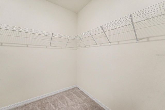 3221 LIVING CORAL DRIVE, Odessa, FL 33556