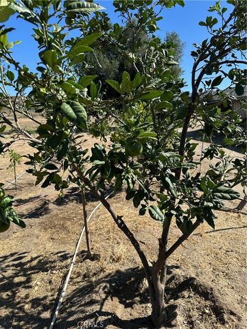 44845 Benton Road, Hemet, CA 92544