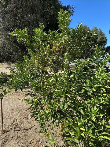 44845 Benton Road, Hemet, CA 92544