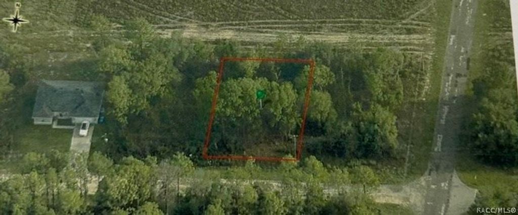 1703 W Skyline Drive, Dunnellon, FL 34434