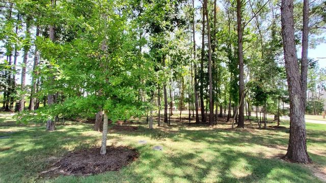305 Rise Lane, Montgomery, TX 77316