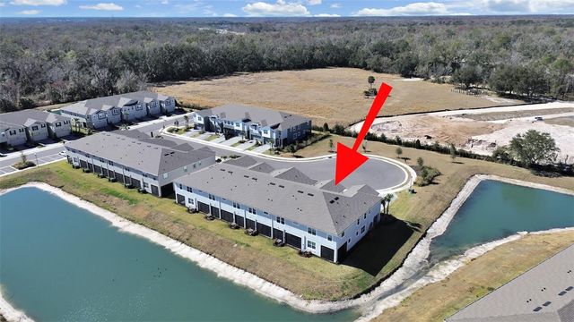 4104 SNAIL CORK PLACE, Lutz, FL 33559