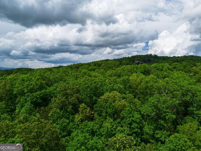 TRACT 2 Century Lane, Blue Ridge, GA 30513