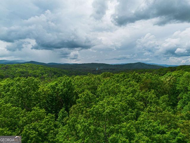 TRACT 2 Century Lane, Blue Ridge, GA 30513