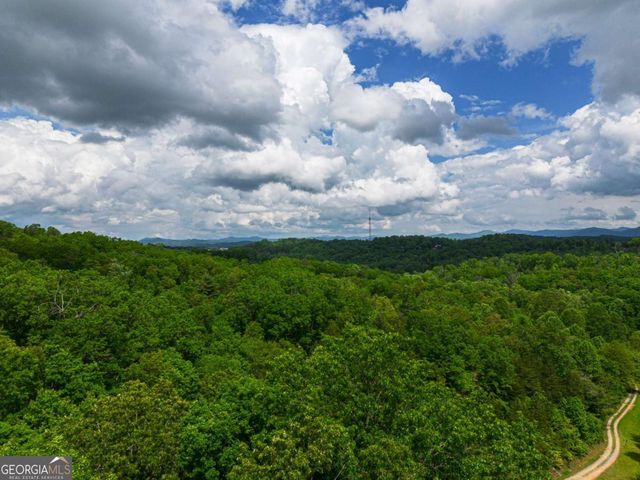 TRACT 2 Century Lane, Blue Ridge, GA 30513