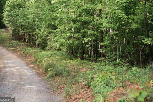 TRACT 2 Century Lane, Blue Ridge, GA 30513