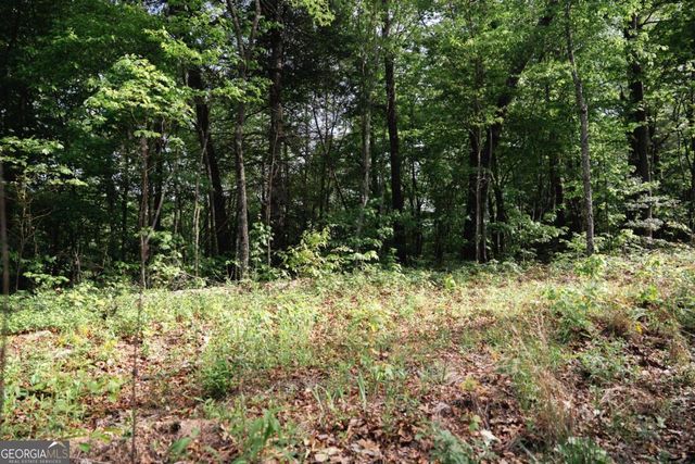 TRACT 2 Century Lane, Blue Ridge, GA 30513