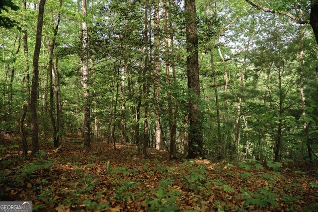 TRACT 2 Century Lane, Blue Ridge, GA 30513