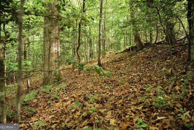 TRACT 2 Century Lane, Blue Ridge, GA 30513