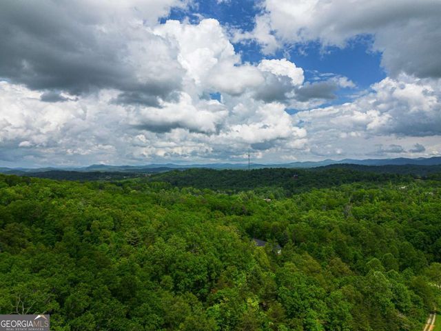 TRACT 2 Century Lane, Blue Ridge, GA 30513