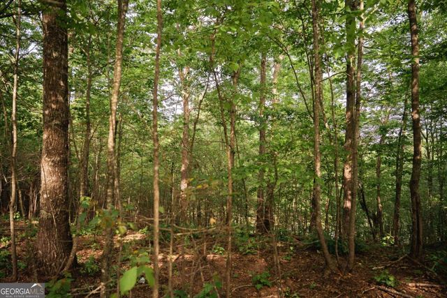 TRACT 2 Century Lane, Blue Ridge, GA 30513