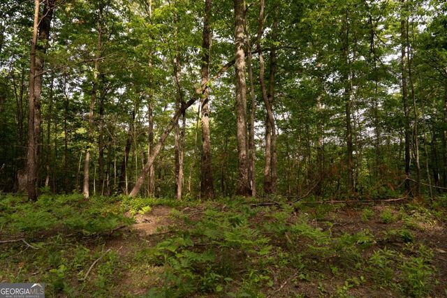 TRACT 2 Century Lane, Blue Ridge, GA 30513