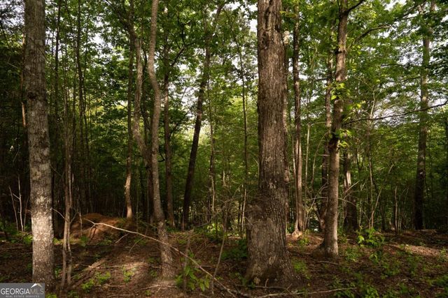 TRACT 2 Century Lane, Blue Ridge, GA 30513