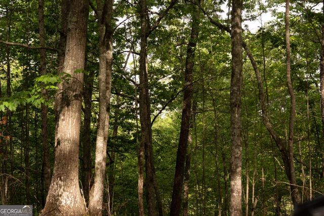 TRACT 2 Century Lane, Blue Ridge, GA 30513