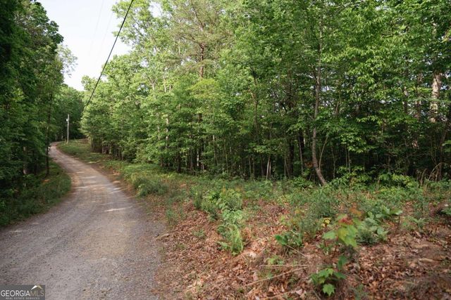 TRACT 2 Century Lane, Blue Ridge, GA 30513