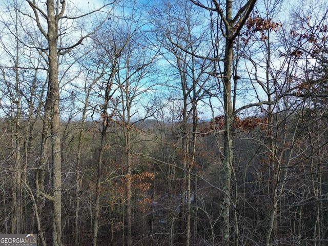 TRACT 2 Century Lane, Blue Ridge, GA 30513